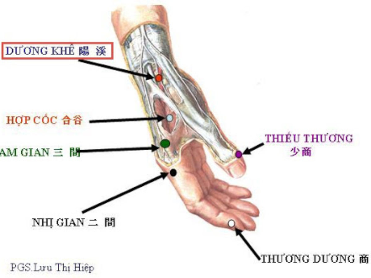 HUYỆT DƯƠNG KHÊ