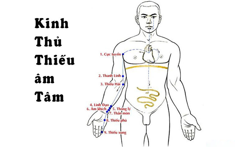 Huyệt Thần Môn Những Điều Cần Biết