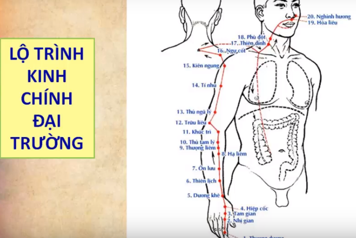 THỦ DƯƠNG MINH ĐẠI TRÀNG