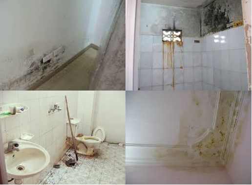 Các Sự Cố Chống Thấm Thường Gặp Vào Dịp Cuối Năm Tại Hà Nội Và Giải Pháp Chống Thấm Hiệu Quả Của Nhuận Phát