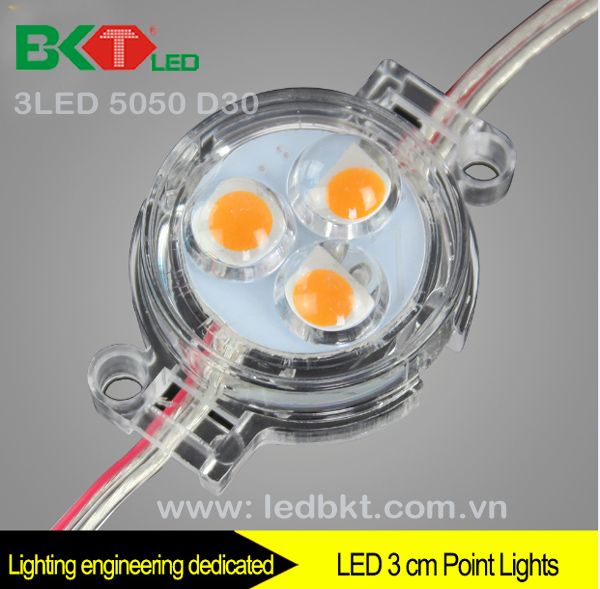 3 LED MODULE D30