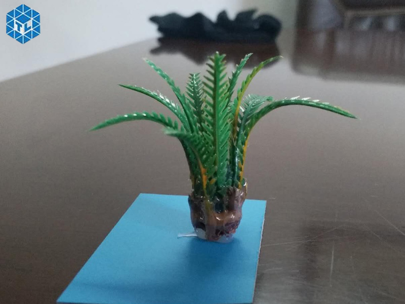 tieu-chuan-cua-sa-ban-dep