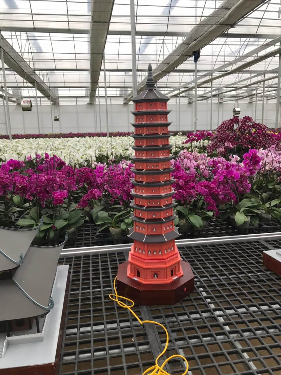 Dự án Con đường di sản - chùa bãi đính