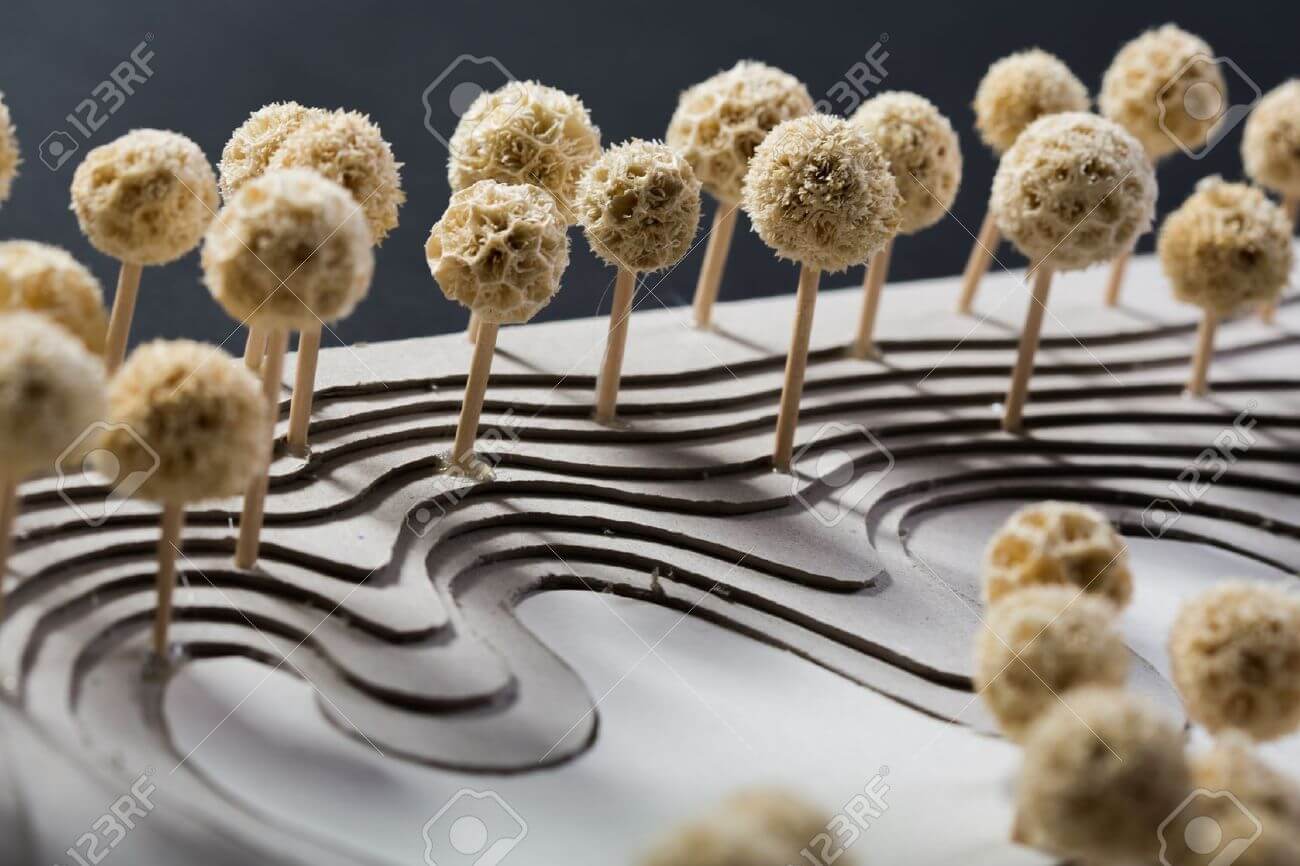 Mô hình conceft địa hình