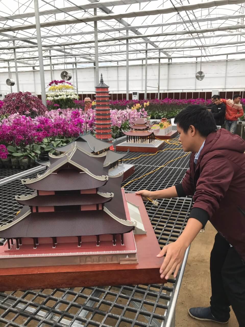 Công ty Cổ phần thế giới mô hình