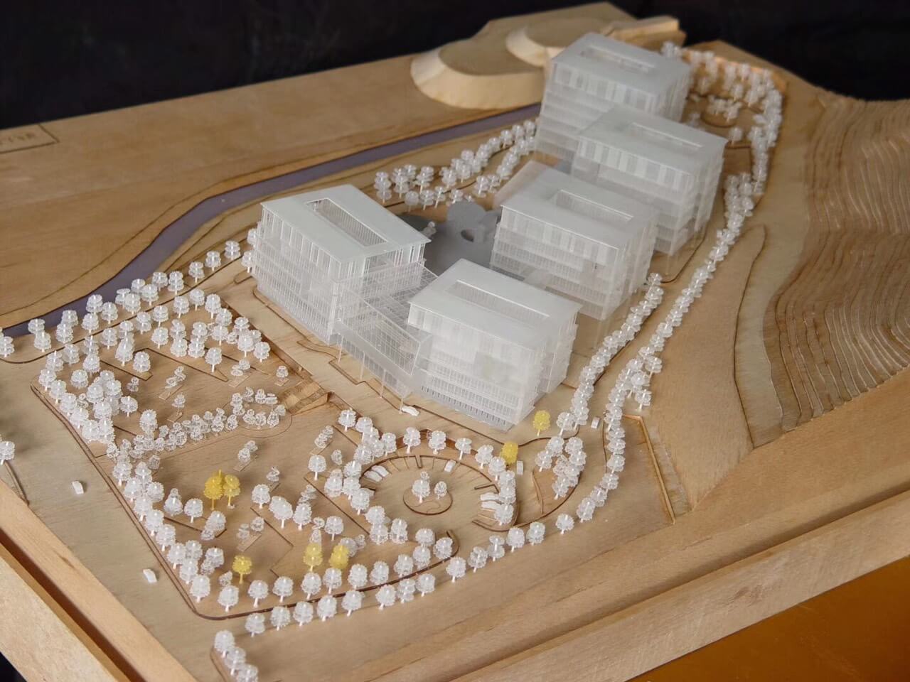 Mô hình conceft địa hình