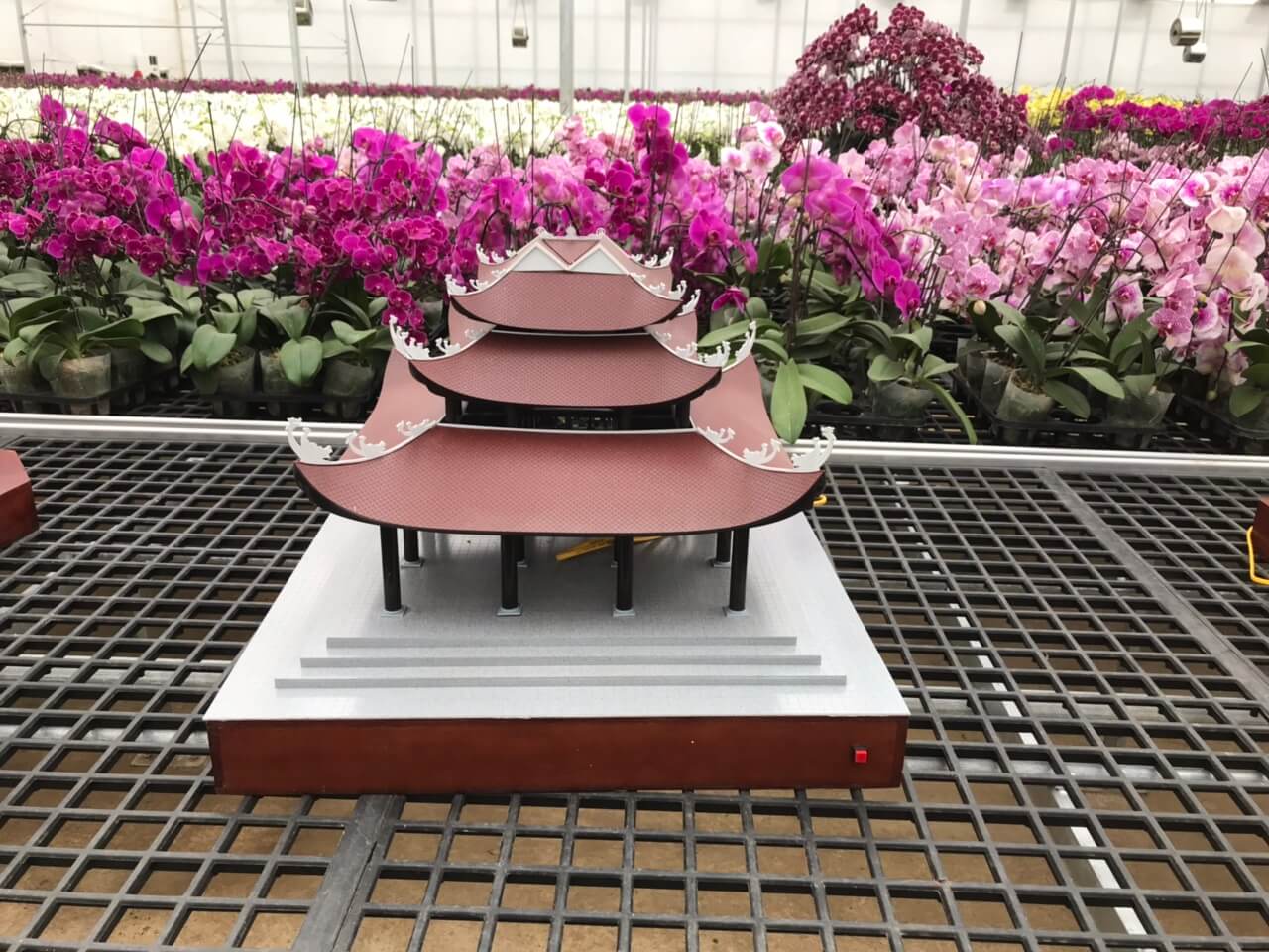 Dự án Con đường di sản - chùa bãi đính