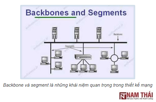 Sự khác biệt giữa Backbone và Segment trong mạng