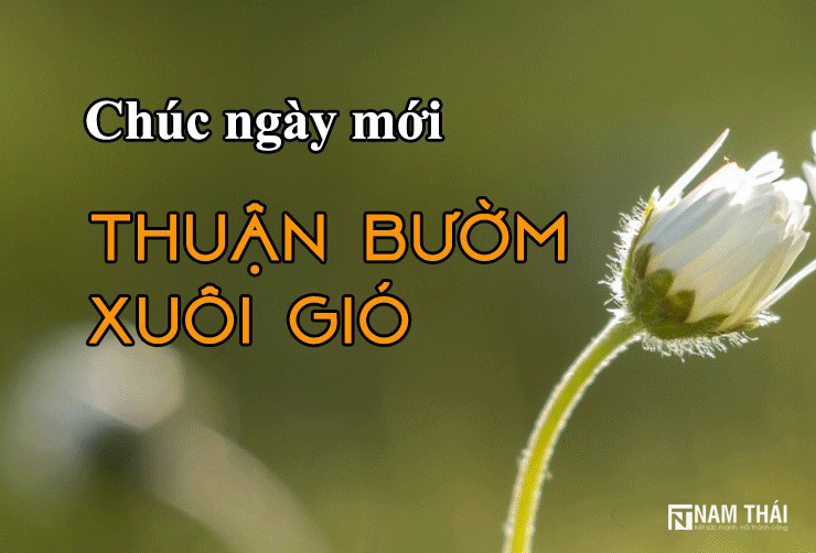 Top 20+ lời chúc ngày mới ý nghĩa, vui vẻ, hạnh phúc | Siêu Thị Thiết Bị Số 24h Top 20+ Lời Chúc Ngày Mới Ý Nghĩa, Vui Vẻ, Hạnh Phúc | Siêu Thị Thiết Bị Số 24H