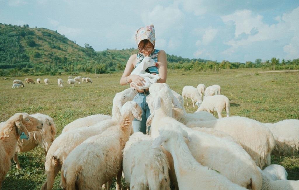 dong cuu ninh thuan