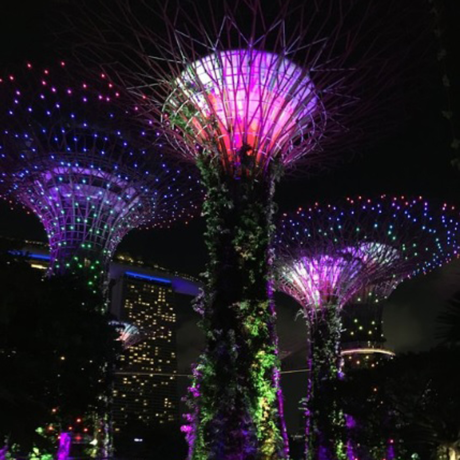 garden by the bay