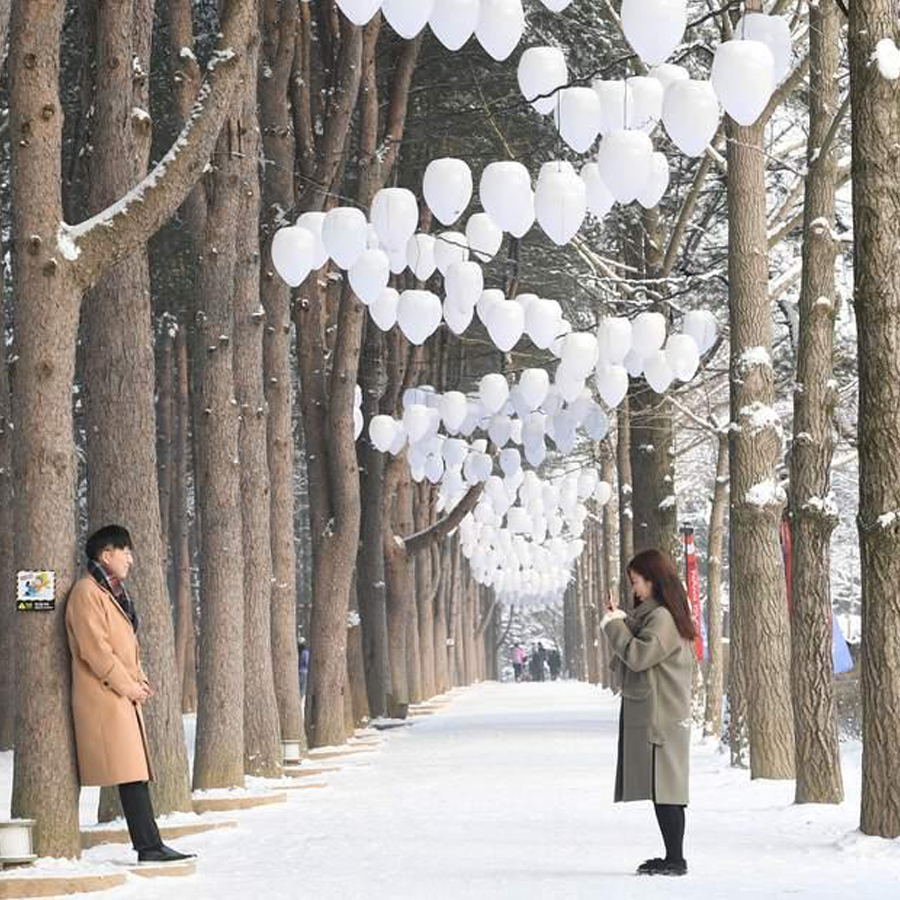 Nami Korea winter
