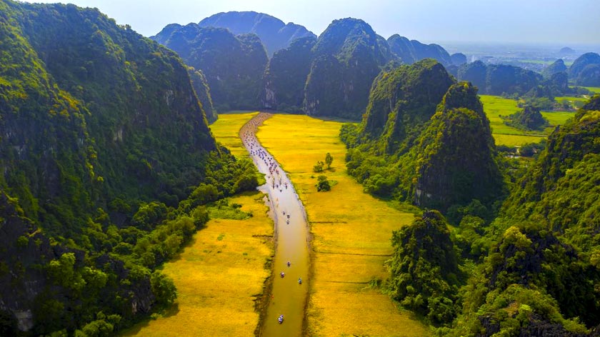 mùa lúa chín Tam Cốc Ninh Bình