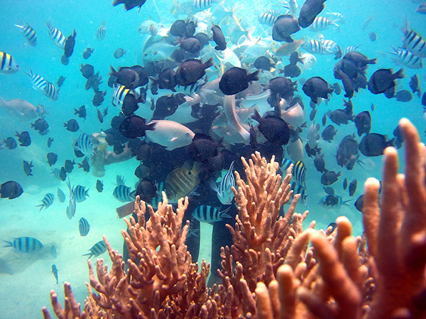 Du lịch Nha Trang 03