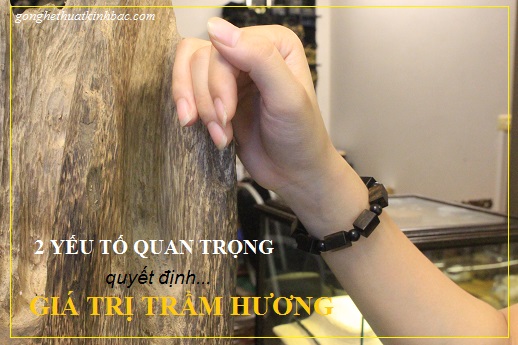 2-yeu-to-quan-trong-quyet-dinh-gia-tri-cua-tram-huong