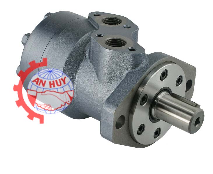 motor-thuy-luc-BMR-315-4CD-truc-25