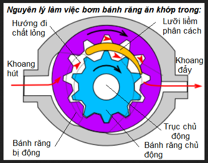 Bánh răng  Chương 5  La Stella