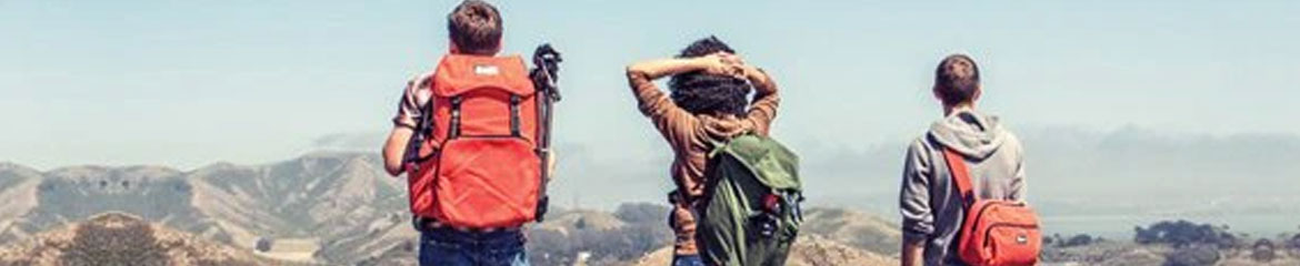 banner 01