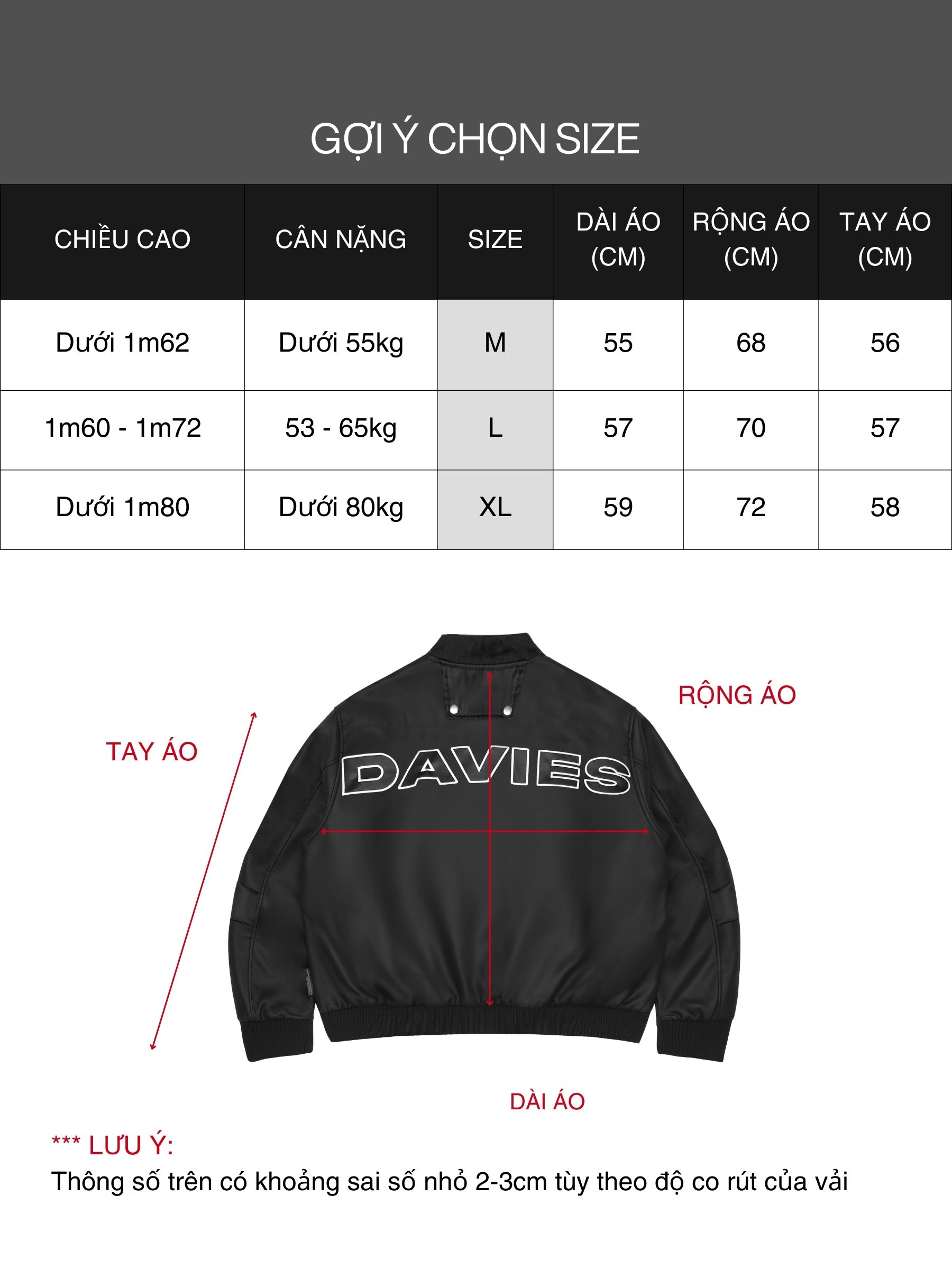 DSW Metallic Bomber Jacket