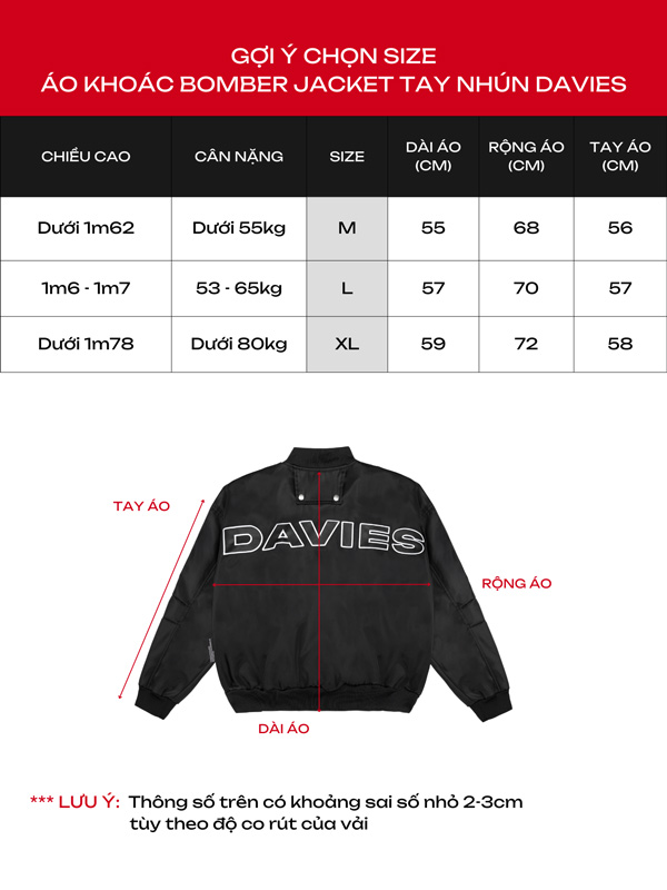 DSW Metallic Bomber Jacket