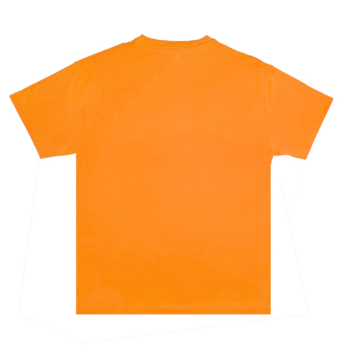 DSW Tee Basic New Logo-Cam