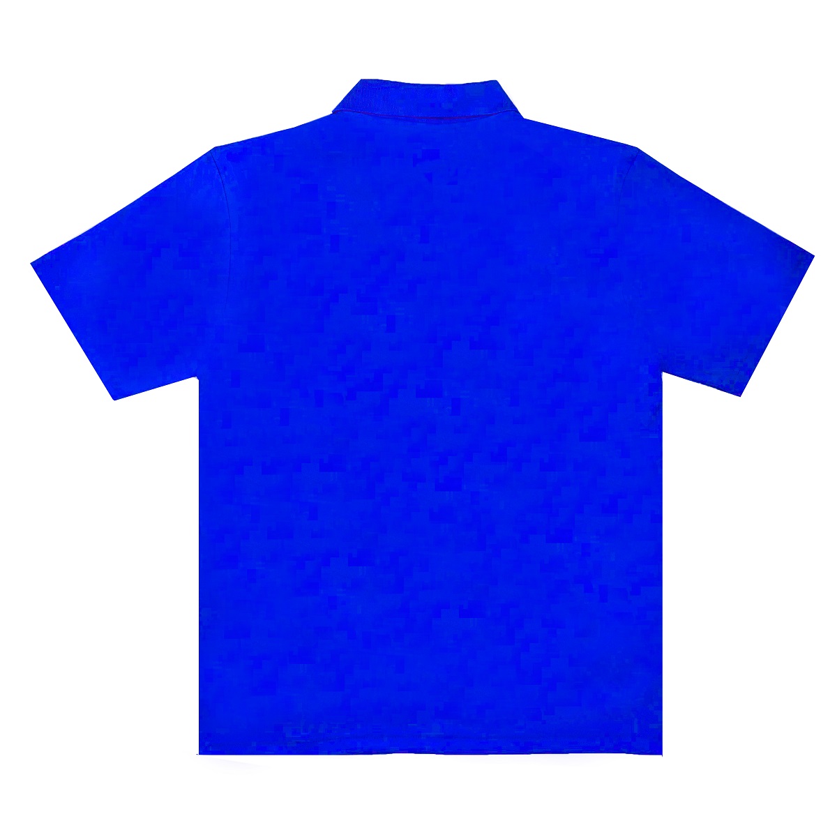 DSS Basic Polo D - BLUE