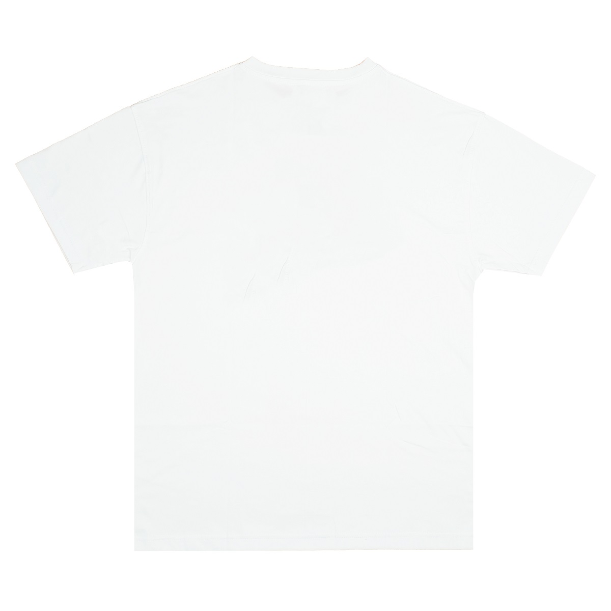 DSW Tee Basic New Logo-White