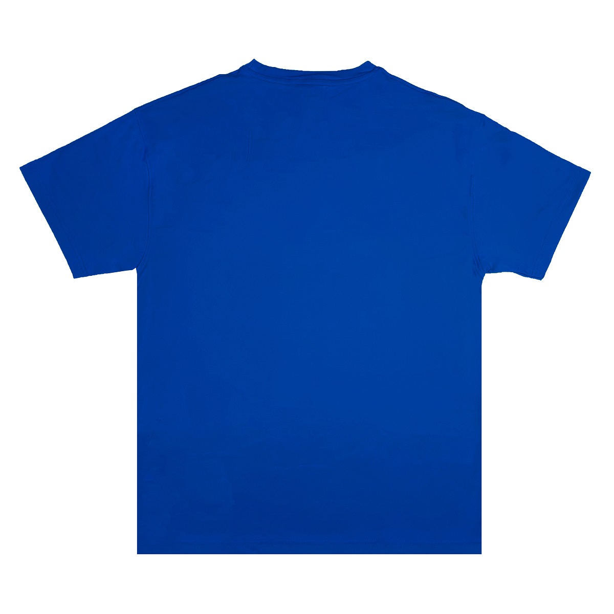 DSW Tee Basic New Logo-Blue