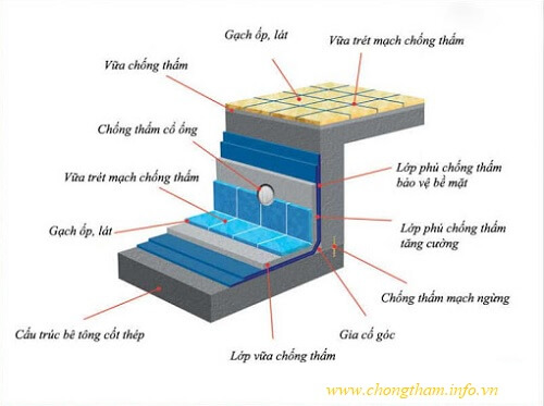 các lớp hoàn thiện của bể bơi