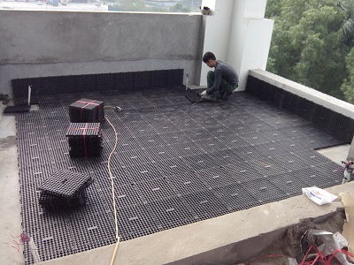 vỉ trồng cây