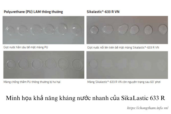 khả năng kháng nước nhanh của sikalastic 633R