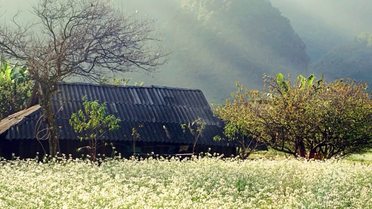 DU LỊCH MỘC CHÂU