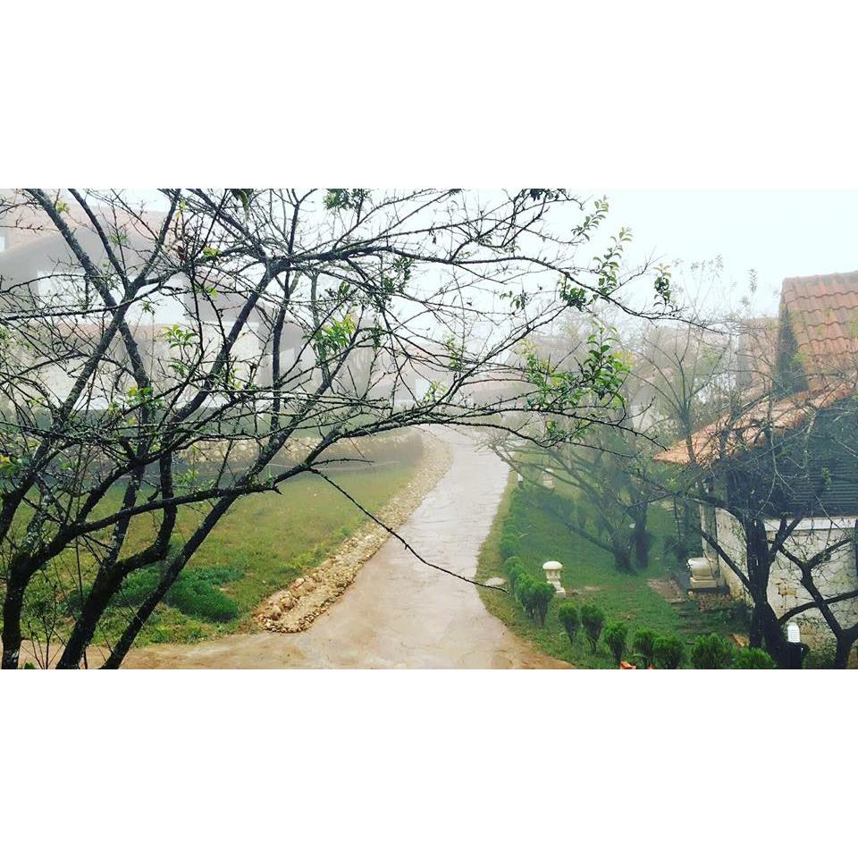 SAPA JADE HILL RESORT - ĐỒI NGỌC THƠ MỘNG CỦA ĐẤT TRỜI TÂY BẮC