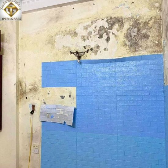 sơn tường đã bong tróc 