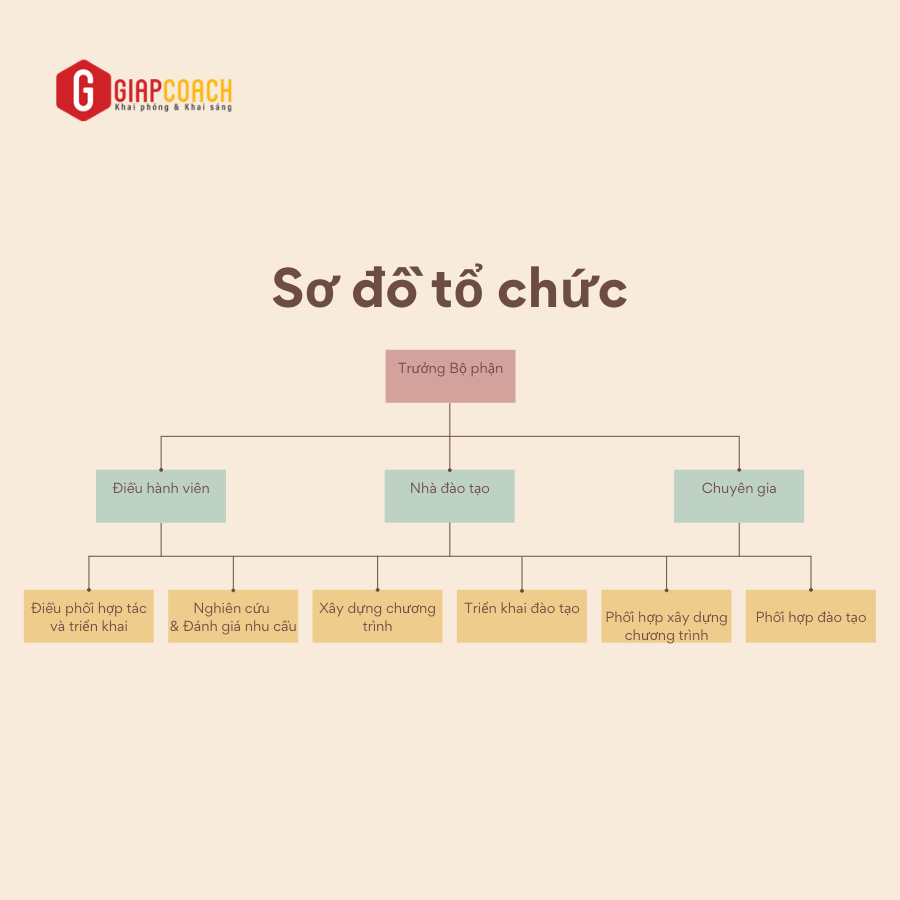 TỔ CHỨC PHÒNG ĐÀO TẠO THUÊ NGOÀI