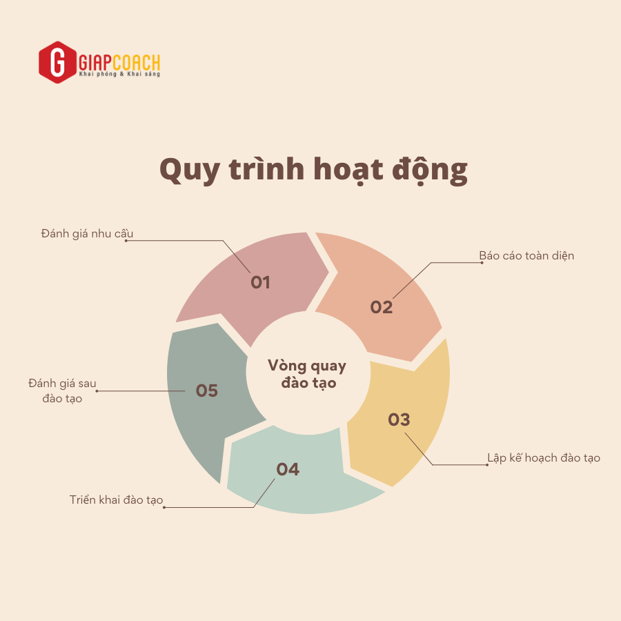 TỔ CHỨC PHÒNG ĐÀO TẠO THUÊ NGOÀI