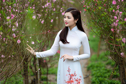 tao-dang-chup-anh-ao-dai-trang-dep-ben-hoa-dao-nhat-tan-ban-can-biet