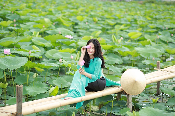 chụp ảnh áo dài sen đẹp tại Hà Nội