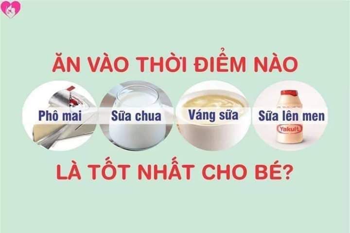 THỜI ĐIỂM CHO CON ĂN SỮA CHUA - PHÔ MAI - VÁNG SỮA - SỮA  LÊN MEN: CÓ PHẢI MẸ NÀO CŨNG BIẾT ?