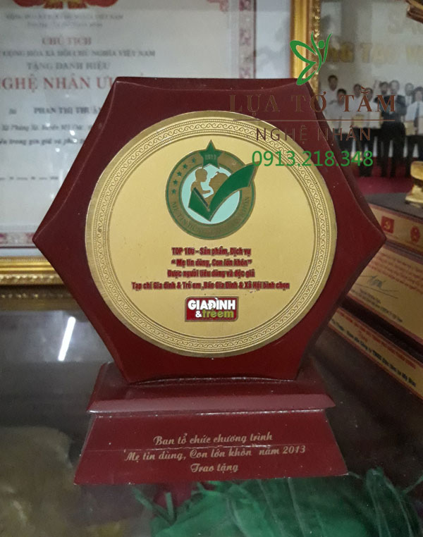 Giải thưởng Top 100 Sản phẩm - Dịch vụ "Mẹ Tin Dùng - Con Lớn Khôn" năm 2013 khẳng định niềm tin của người tiêu dùng dành cho các sản phẩm cho gia đình và cho em bé của Công ty Dâu Tằm Tơ Mỹ Đức. 