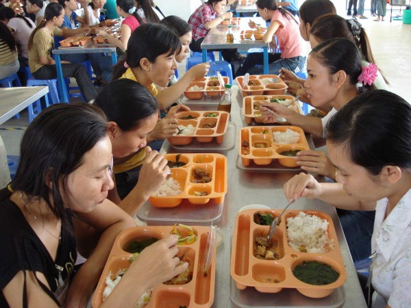 ô nhiễm chất dinh dưỡng