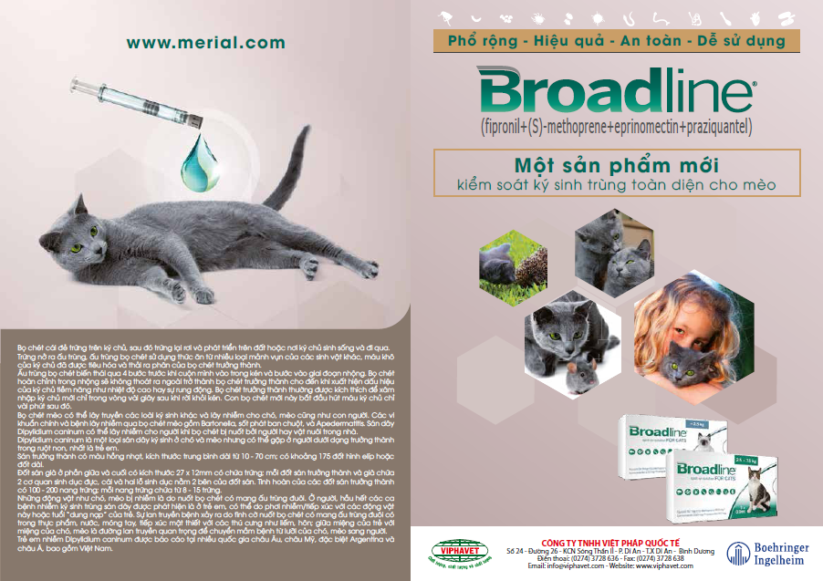 Broadline - bảo bối toàn năng cho