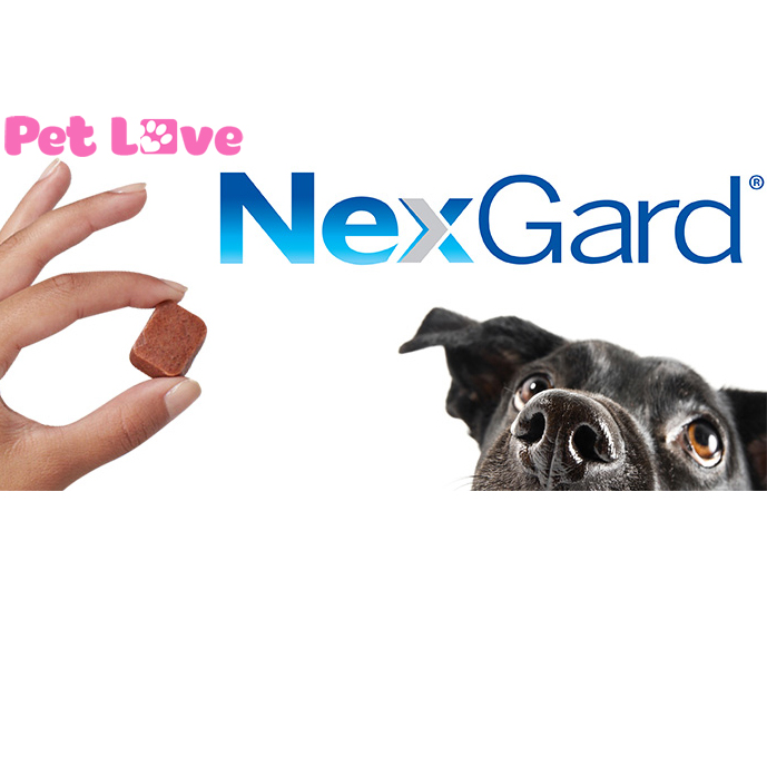 1 hộp thuốc NexGard (6 viên) trị ghẻ, viêm da, ve, rận (chó từ 25 50