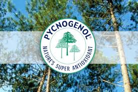 pycnogenol-vua-cua-cac-loai-thao-moc-cham-soc-cho-da