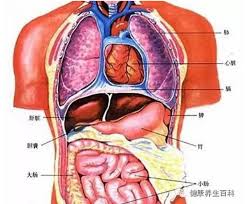 bang-tham-khao-cac-phan-ung-chua-benh-phan-2