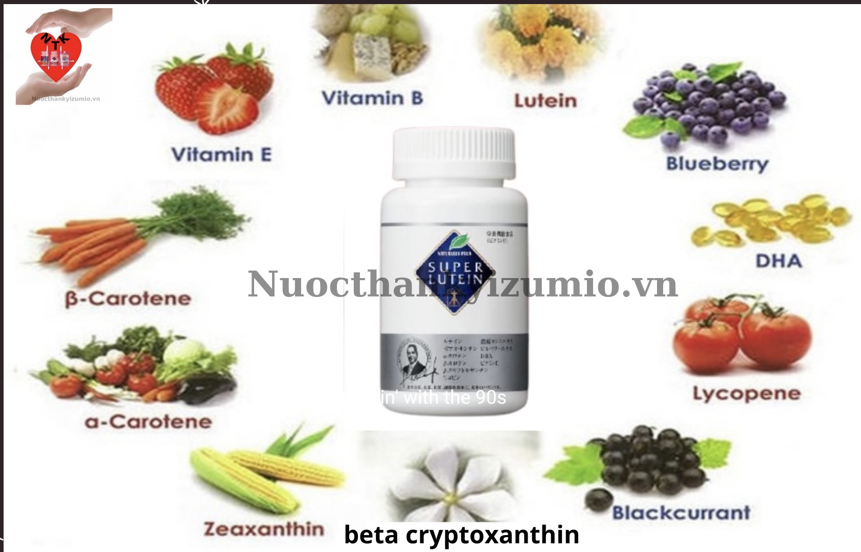 phytochemicals-hoa-hoc-thuc-vat-hay-hoa-chat-thuc-vat-trong-super-lutein-va-supe