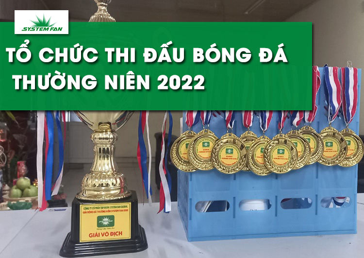 system-fan-to-chuc-giai-thi-dau-bong-da-thuong-nien-2022