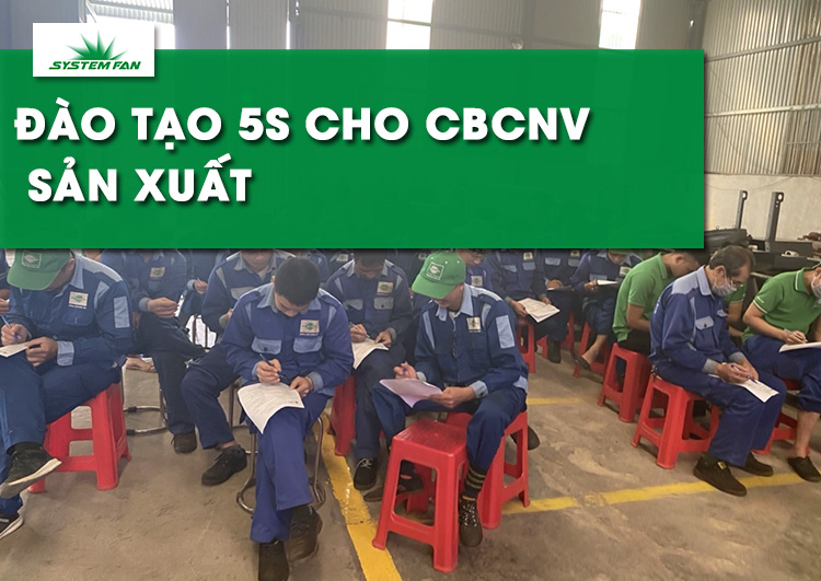 system-fan-dao-tao-5s-cho-toan-the-can-bo-cong-nhan-san-xuat