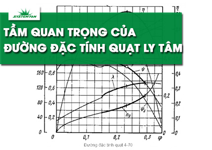 tam-quan-trong-cua-duong-dac-tinh-quat-ly-tam