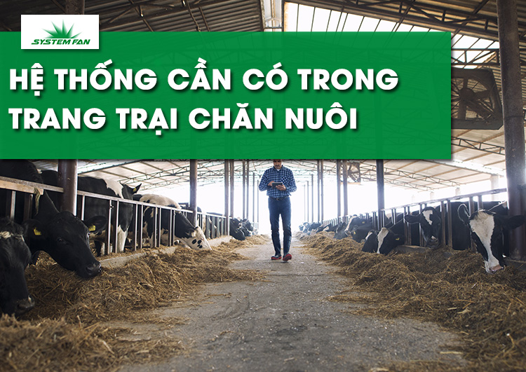 4-he-thong-can-co-trong-cac-trang-trai-chan-nuoi